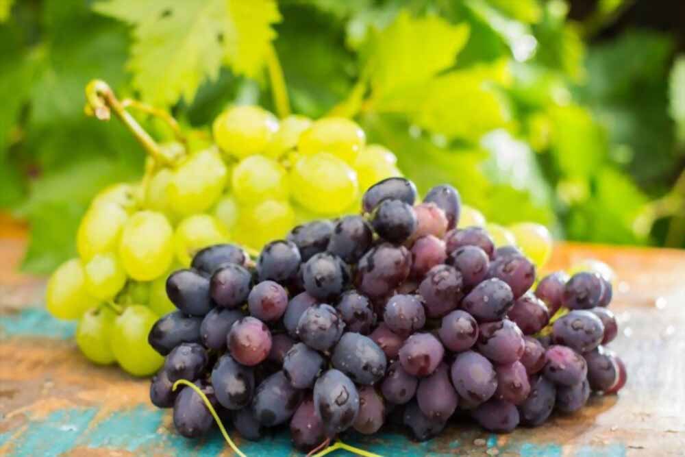 How Many Grapes Should You Eat a Day