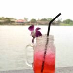 Tropical Smoothie Jetty Punch Recipe