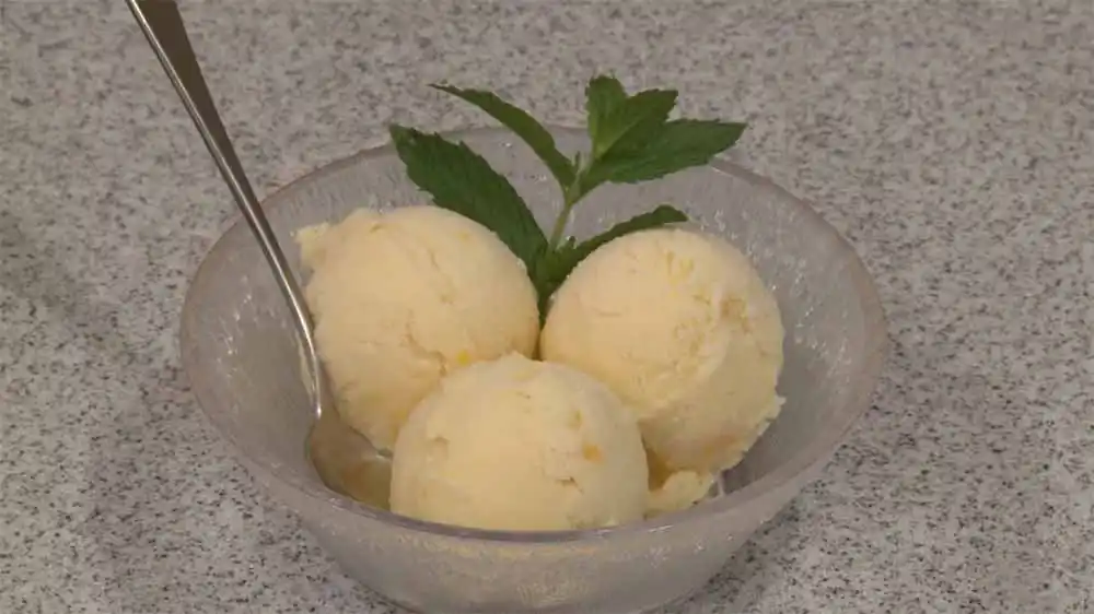 Ninja Creami Orange Sorbet Recipe