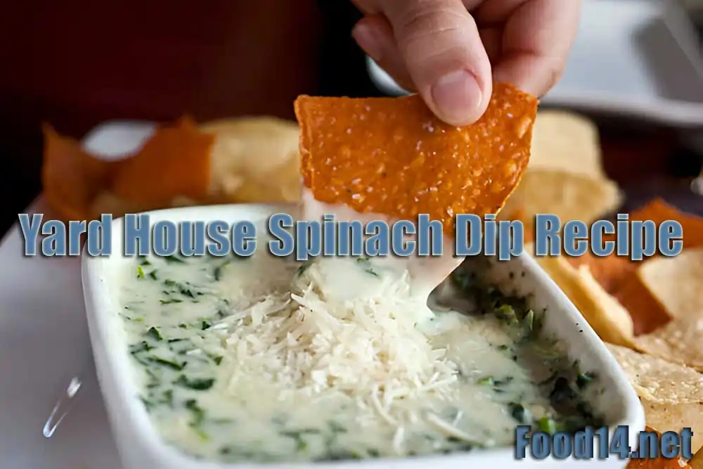 Yard House Spinach Dip Recipe